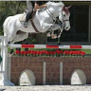 Meet your Posher, Peter